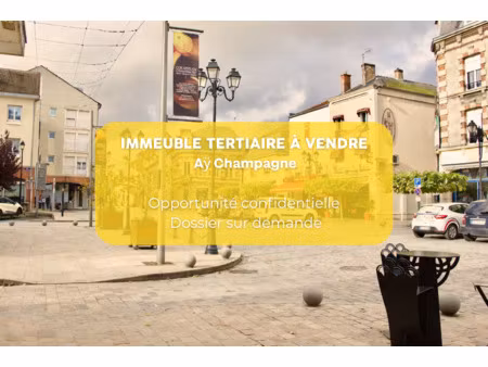 achat local professionnel 630m² ay champagne 51160