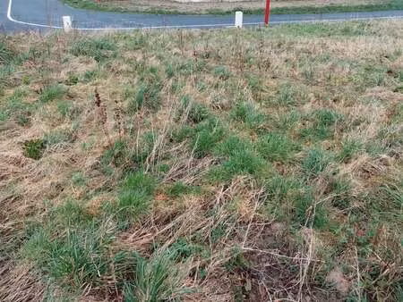 vente terrain à saint-martin-aux-buneaux (76450) : à vendre / 637m² saint-martin-aux-bunea