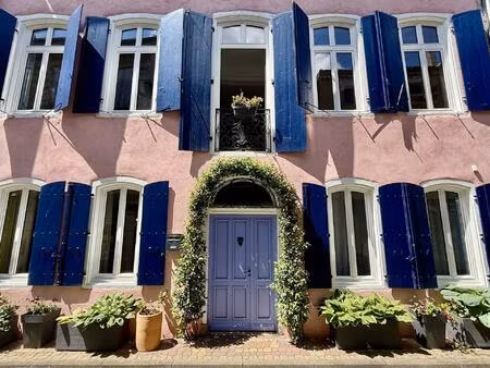 charmante maison de maître en plein centre ville