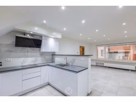 ruim en energiezuinig gelijkvloers appartement op wandelafstand van de schelde