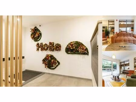 rez-de-chaussée en colocation à 29 rue des palmiers  29 woluwe-saint-pierre (vbd82314)