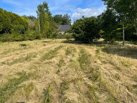 achat terrain 1 638m²