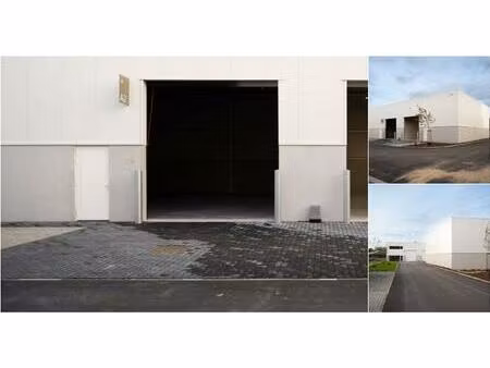 surface industrielle à louer à piepelboomstraat 86 tienen (rbv15118)