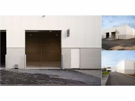 surface industrielle à louer à piepelboomstraat 86 tienen (rbv15119)