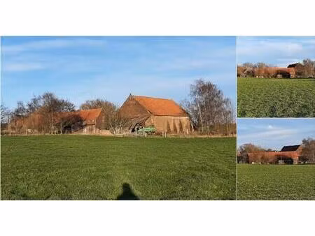 ferme à vendre à rue boucaut 11 grandmetz (vbd82168)