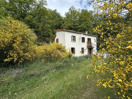 maison 4 faces à vendre sur 47000m2 à serralongue vallée du tech