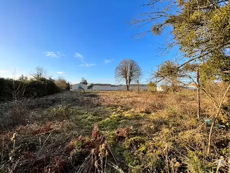 terrain constructible de 3 998 m2
