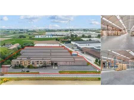 surface industrielle à vendre à brugsesteenweg 38 pittem (rbv15201)