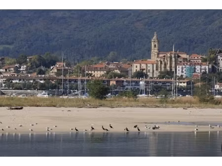 annonce commerce à vendre