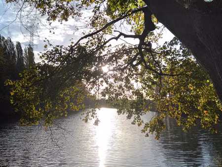 huis te koop in antwerpen met 3 slaapkamers