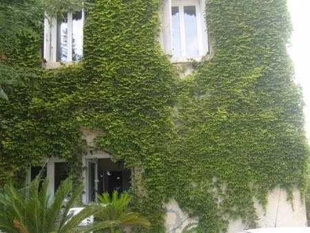 location appartement 3 pièces 75 m² à saint-aunès (34130)