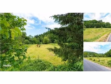 terrain à vendre à trou de bra lierneux (vbd81542)