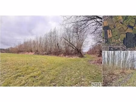 terrain à vendre à muizenstraat hofstade (rbv14975)