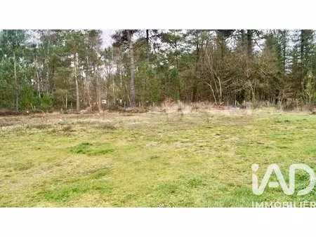 vente terrain à fillé (72210) : à vendre / 754m² fillé