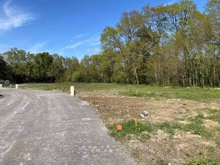 vente terrain à besné (44160) : à vendre / 1199m² besné