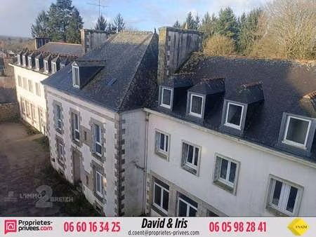 vente immeuble à guémené-sur-scorff (56160) : à vendre / 1000m² guémené-sur-scorff
