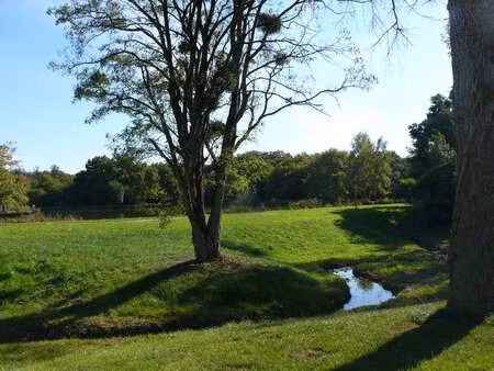 vente maison à teillay (35620) : à vendre / 121m² teillay