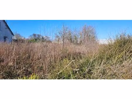 vente terrain à camaret-sur-mer (29570) : à vendre / 356m² camaret-sur-mer