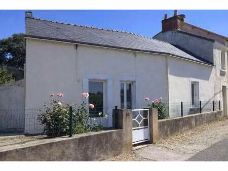 location maison à couëron (44220) : à louer / 74m² couëron