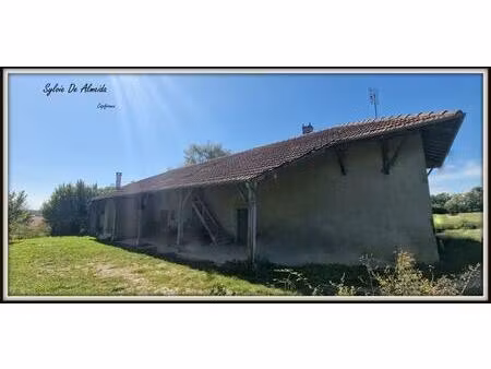 maison ferme à vendre 5 pièces bage la ville (01) terrain 6000 m²