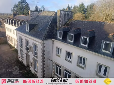 vente immeuble 1000 m² guémené-sur-scorff (56160)