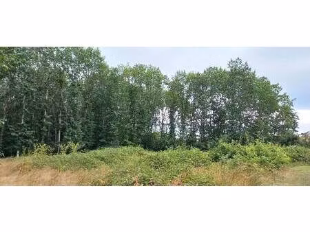 terrain constructible à vendre