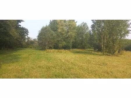 terrain constructible à vendre