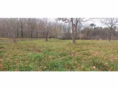 terrain constructible viabilisé à vendre