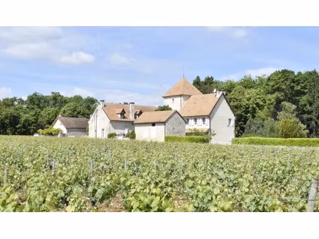 vente maison 10 pièces 360 m² à mercurey (71640)  695 000 €