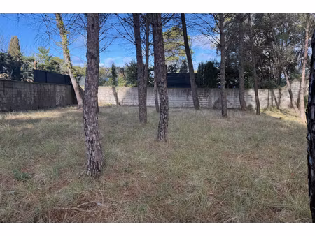 annonce terrain à vendre