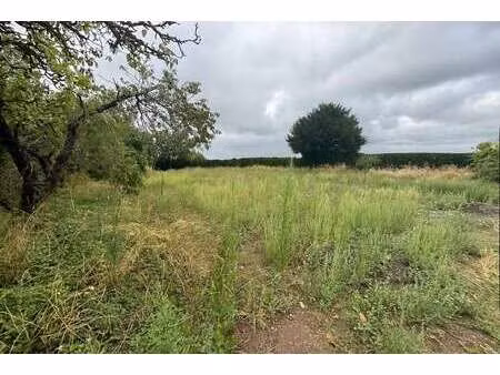 vente terrain à loire-authion (49250) : à vendre / 837m² loire-authion