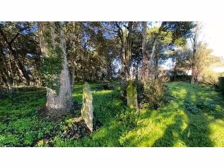 terrain constructible à vendre