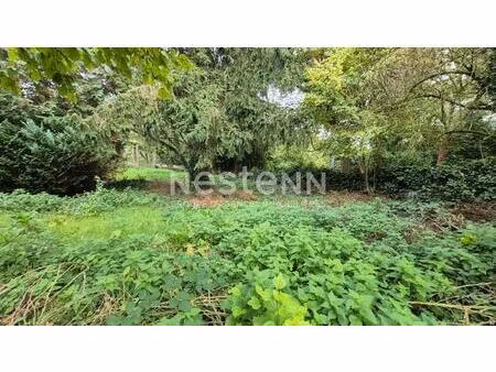nestenn igny - opportunité rare - terrain à palaiseau 503 m2 - secteur du pileu proche...