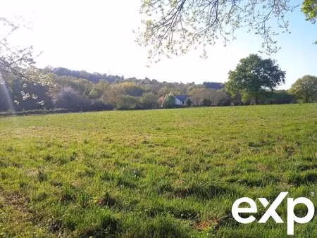 vente terrain à châteaubriant (44110) : à vendre / 7310m² châteaubriant