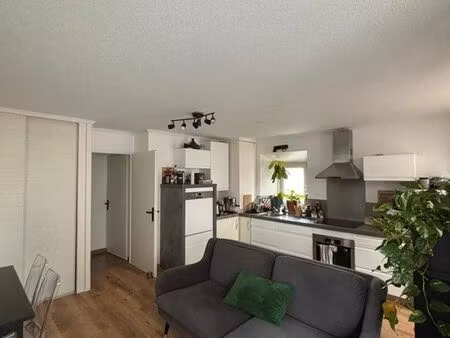 appartement 1 chambre 830 euros hors charge