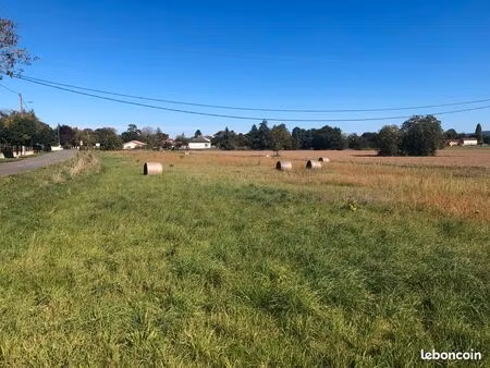 vends terrains pointis de rivière