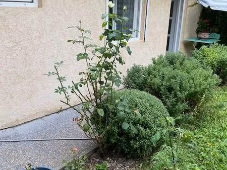 maison 1 pièce 25 m²