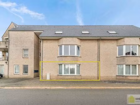appartement à vendre à neerpelt € 225.000 (lkhwe) - idealis vastgoed | zimmo
