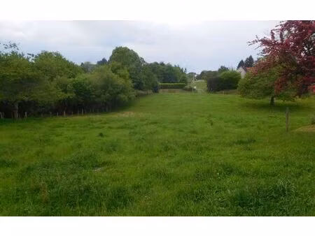 terrain saint-yrieix-la-perche m² t- à vendre  39 000 €