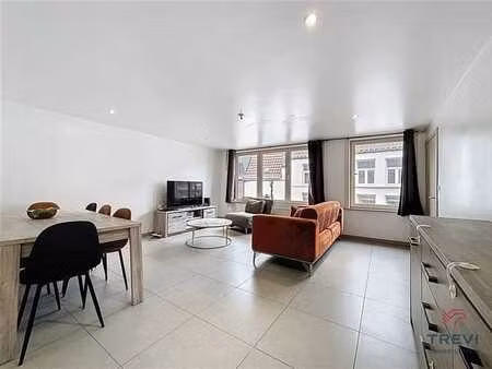 bel appartement rénové au centre ville