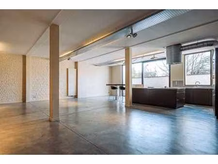 lycée français  magnifique loft de 220m² 3 ch et garage