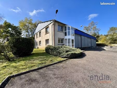 bureaux 437 m² mantoche