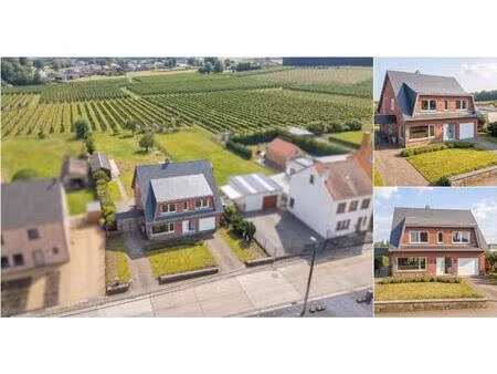 villa à vendre à ketelstraat 10a zoutleeuw (vbd81474)