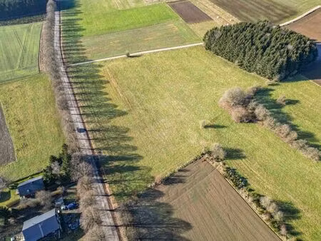 terrain à vendre à wibrin € 115.000 (lkg3z) - era b-lux (marche-en-famenne) | zimmo