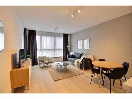 parc ernest: appartement meublé 1 chambre avec terrasse