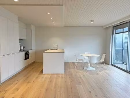 gerenoveerd 1 slaapkamer appartement met groot terras te ...