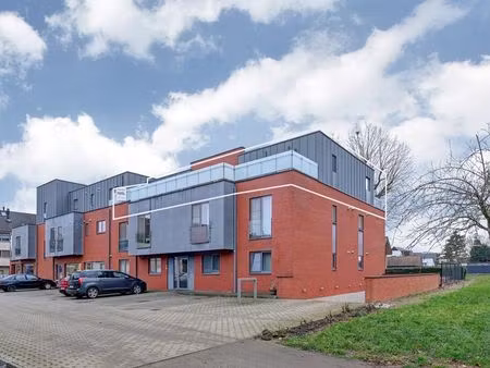 appartement à vendre à heusden € 425.000 (lkgjc) - niels vastgoed | zimmo