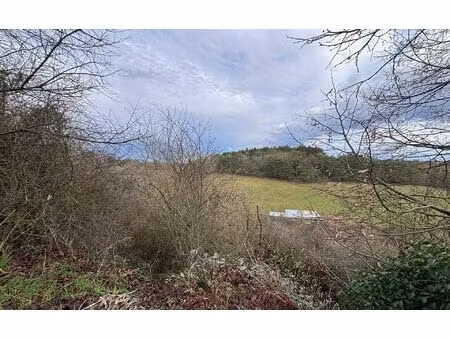 terrain montamisé m² t- à vendre  50 000 €