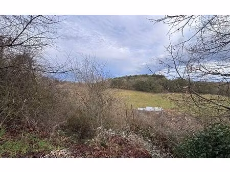 terrain montamisé m² t- à vendre  51 000 €