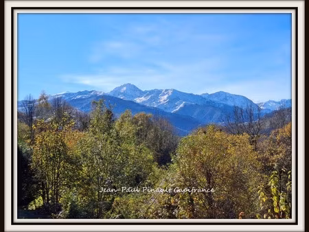 maison à vendre 7 pièces aste (65)